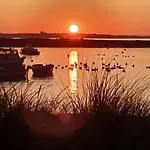 Austernfischer Marina Wendtorf