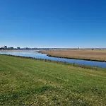 Austernfischer Marina