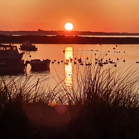 Austernfischer Marina Wendtorf
