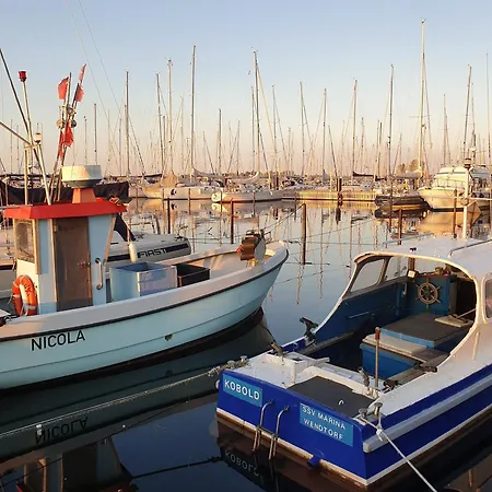 Austernfischer Marina Daire Wendtorf