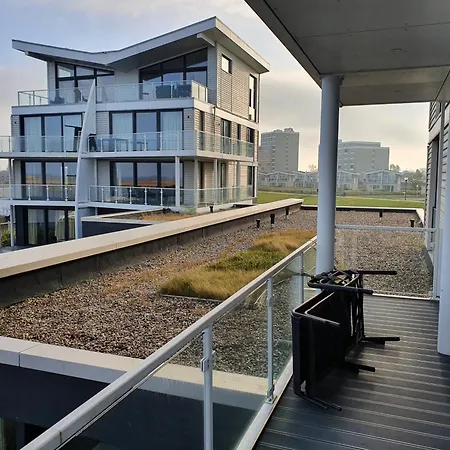 Austernfischer Marina