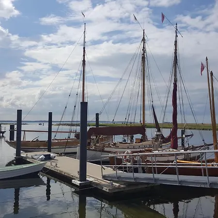 Austernfischer Marina Daire Wendtorf