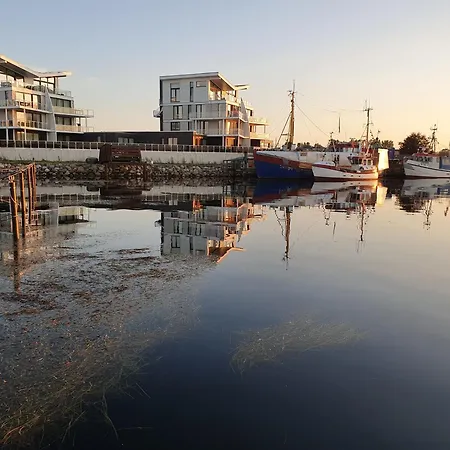 Austernfischer Marina * Wendtorf