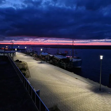 Austernfischer Marina Wendtorf