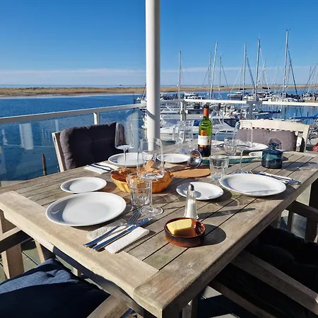 Austernfischer Marina Daire *