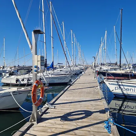 Austernfischer Marina Daire *