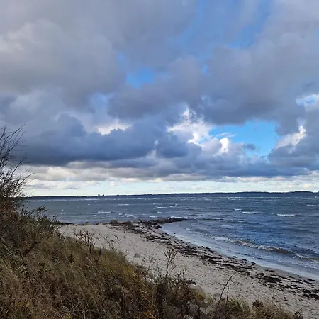 Austernfischer Marina * Wendtorf