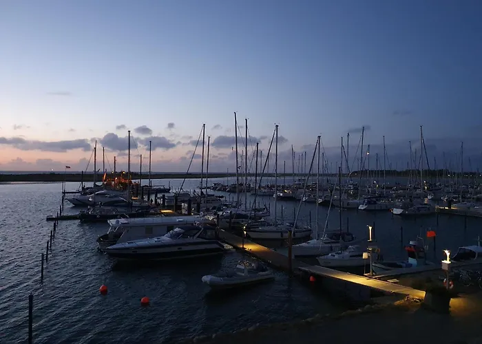 Austernfischer Marina *