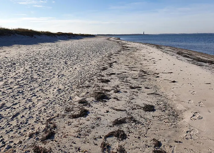 Austernfischer Marina Διαμέρισμα *