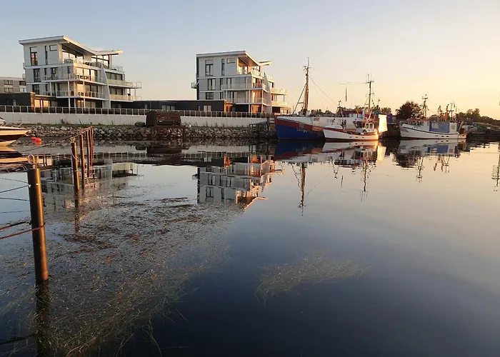 Austernfischer Marina * Wendtorf