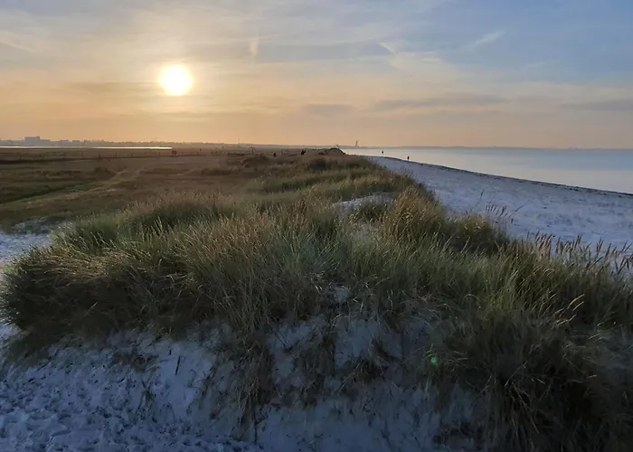 Austernfischer Marina