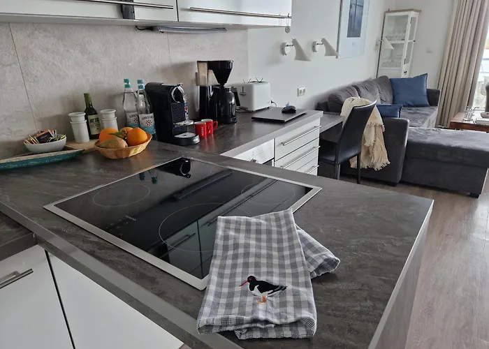 Austernfischer Marina * Wendtorf